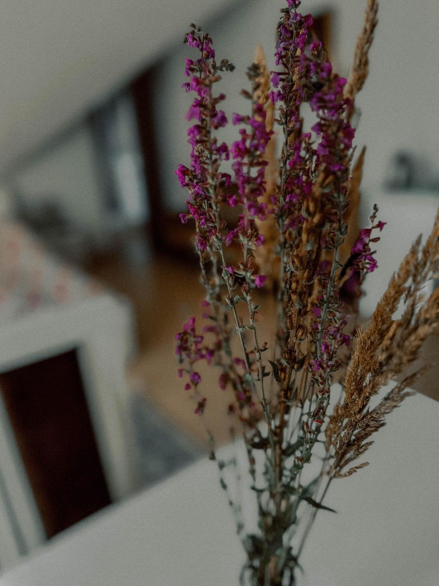 Boho Przystan Łazy Esterno foto