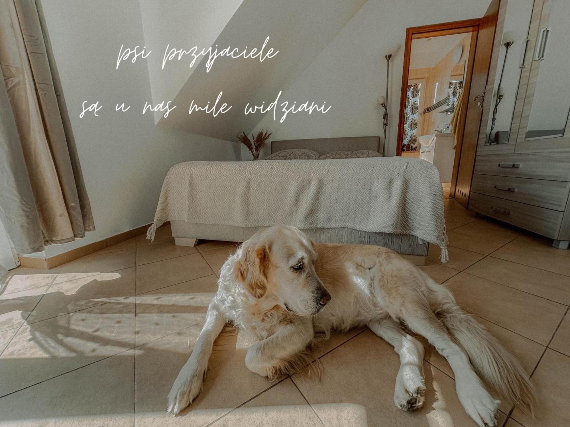 Boho Przystan Łazy Esterno foto